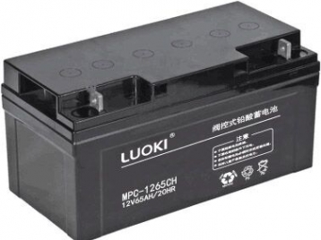 洛奇LUOKI蓄电池MPC12-65CH